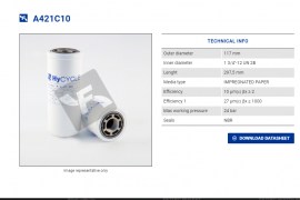 A421C10